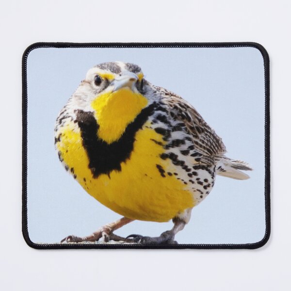 Item preview, Western Meadowlark on a Post designed and sold by Alyce Taylor.