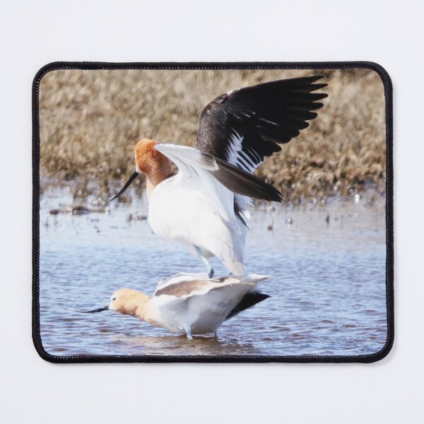 Item preview, Birds Do It designed and sold by Alyce Taylor.