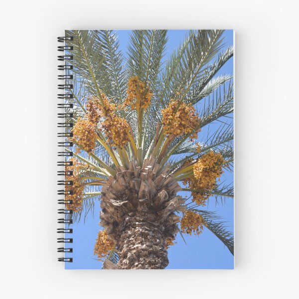 Item preview, Date Palm designed and sold by DanaLauraPhoto.