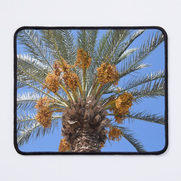 Item preview, Date Palm designed and sold by DanaLauraPhoto.
