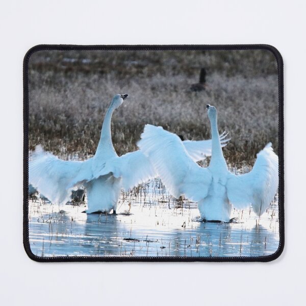 Item preview, The Mating Dance designed and sold by Alyce Taylor.