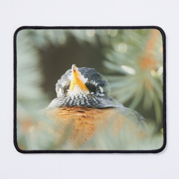 Item preview, Contemplating Spring designed and sold by Alyce Taylor.