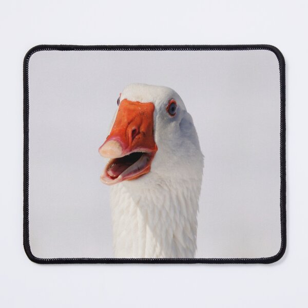 Item preview, Duck, Duck...Goose! designed and sold by Alyce Taylor.