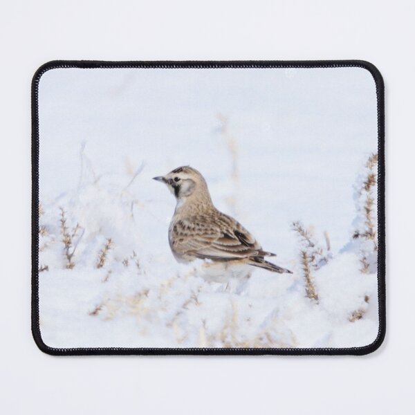Item preview, Female Horned Lark designed and sold by Alyce Taylor.