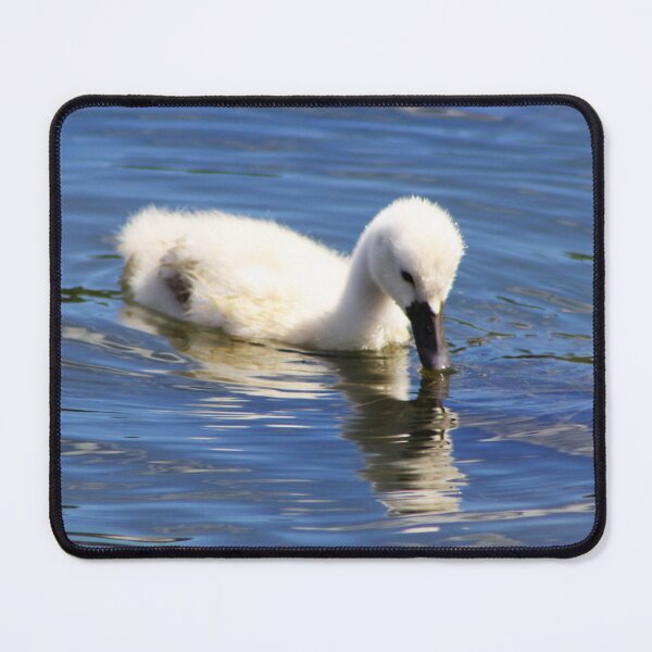 Item preview,  Mirrored Cygnet designed and sold by Alyce Taylor.