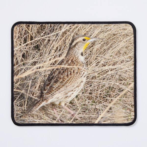 Item preview, Western Meadowlark designed and sold by Alyce Taylor.