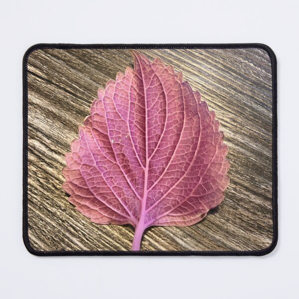 Item preview, Pink leaf designed and sold by elaine-gregers.