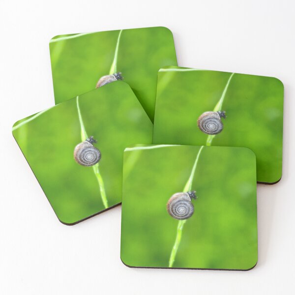 Item preview, Little snail designed and sold by Claudia-Evans.