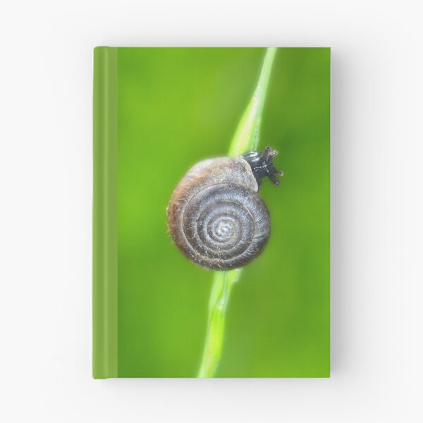Item preview, Little snail designed and sold by Claudia-Evans.