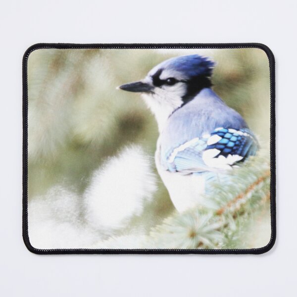 Artikelvorschau, Profil eines Bluejay entworfen und verkauft von Alyce Taylor.