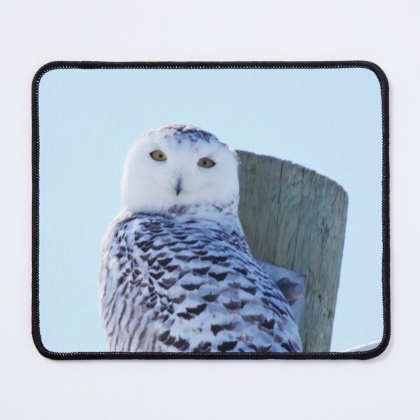 Item preview, Snowy Power designed and sold by Alyce Taylor.