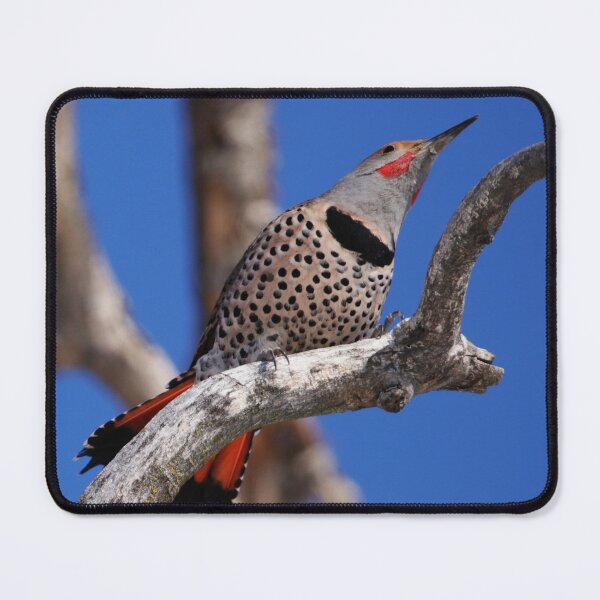 Item preview, Courtship designed and sold by Alyce Taylor.