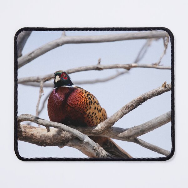 Item preview, The Tree Pheasant designed and sold by Alyce Taylor.