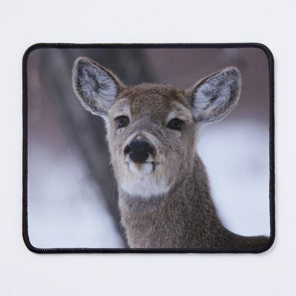 Item preview, Inquisitive Yearling designed and sold by Alyce Taylor.
