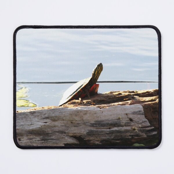 Item preview, Catching Some Rays designed and sold by Alyce Taylor.