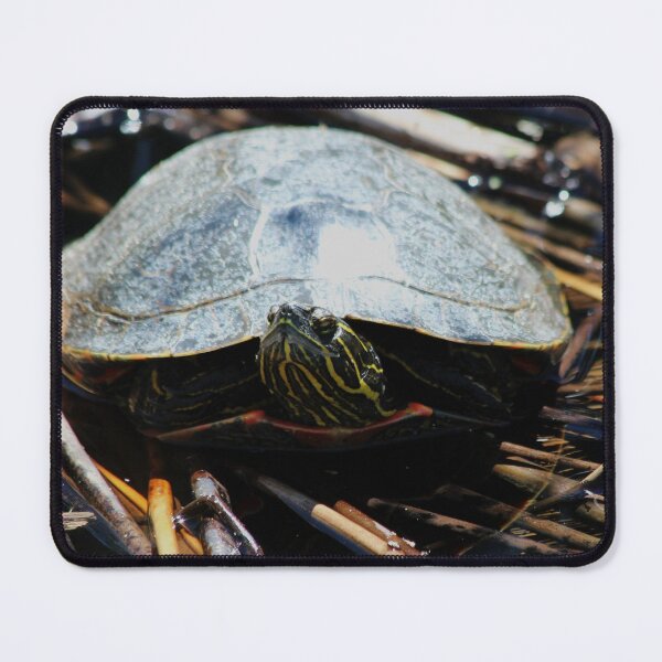 Item preview, Western Painted Turtle designed and sold by Alyce Taylor.