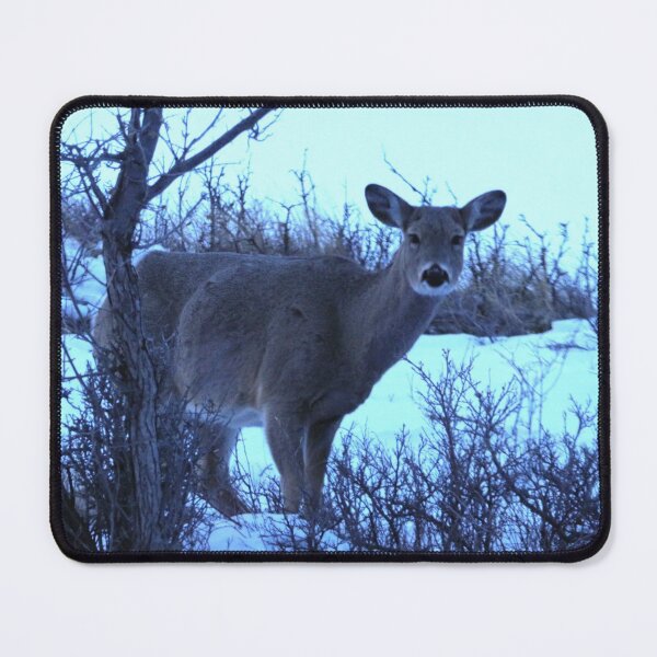 Item preview, Good Morning Deer designed and sold by Alyce Taylor.