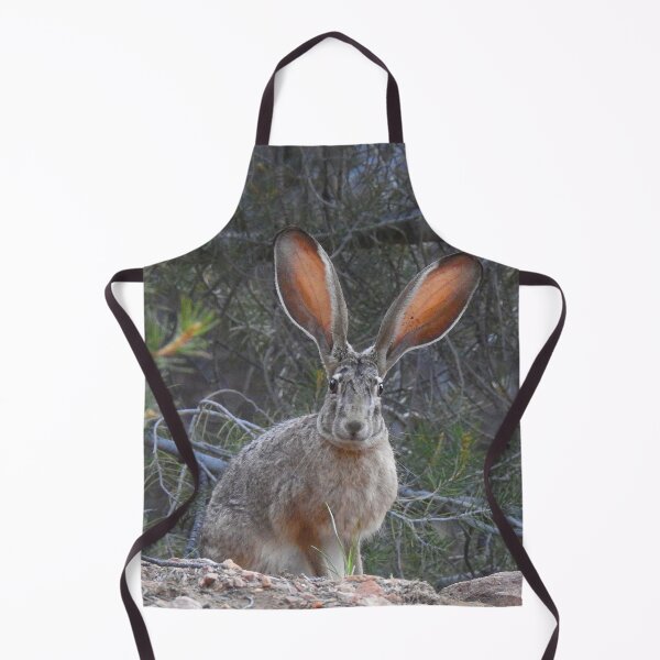 Item preview, Jackrabbit, rabbit, wildlife, wild animals, Curious Jack designed and sold by Sandra O'Toole.