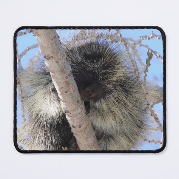 Item preview, Just the Right Branch designed and sold by Alyce Taylor.