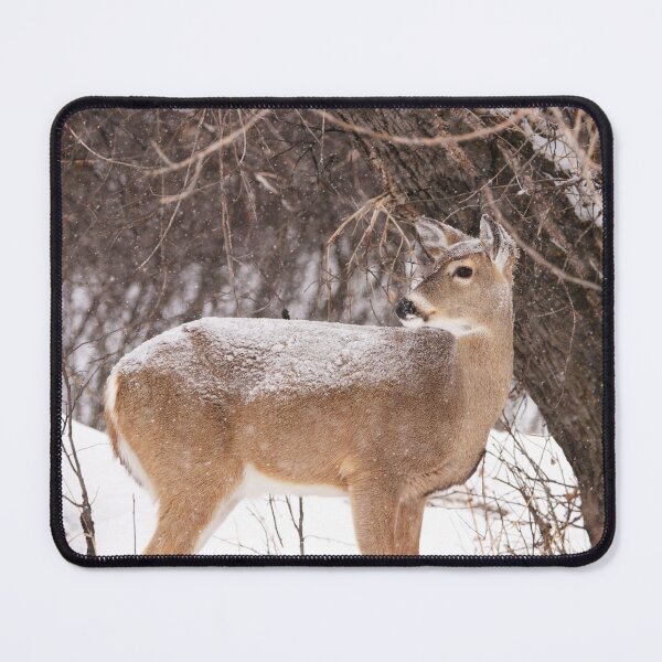 Item preview, Whitetail in the Snow designed and sold by Alyce Taylor.