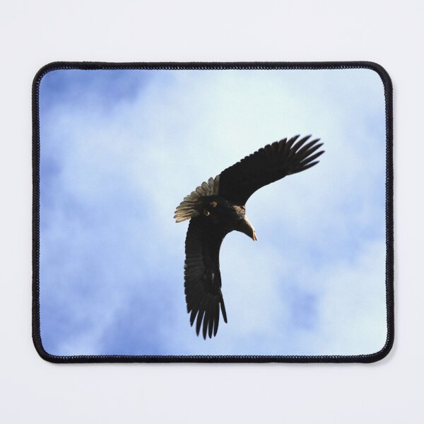 Item preview, Soaring Eagle designed and sold by Alyce Taylor.