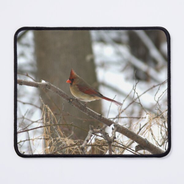 Item preview, Female Cardinal designed and sold by Alyce Taylor.