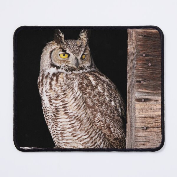Item preview, Sitting in the Window designed and sold by Alyce Taylor.