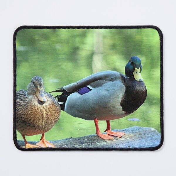 Item preview, JUST THE TWO OF US designed and sold by BOLLA67.