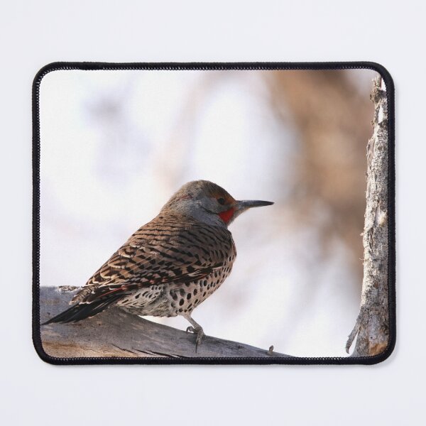 Item preview, Northern Flicker designed and sold by Alyce Taylor.