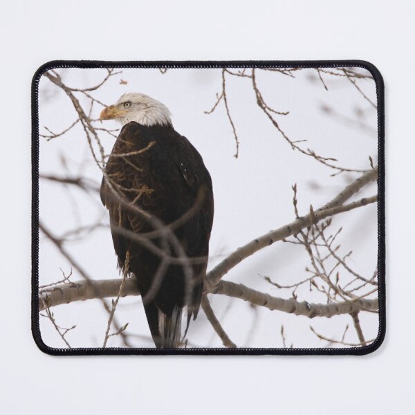 Item preview, Senior Citizen designed and sold by Alyce Taylor.