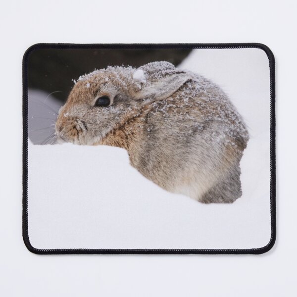 Item preview, Snowy Bunny designed and sold by Alyce Taylor.