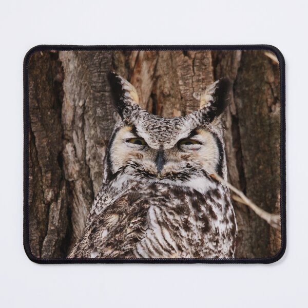 Item preview, The Squint designed and sold by Alyce Taylor.