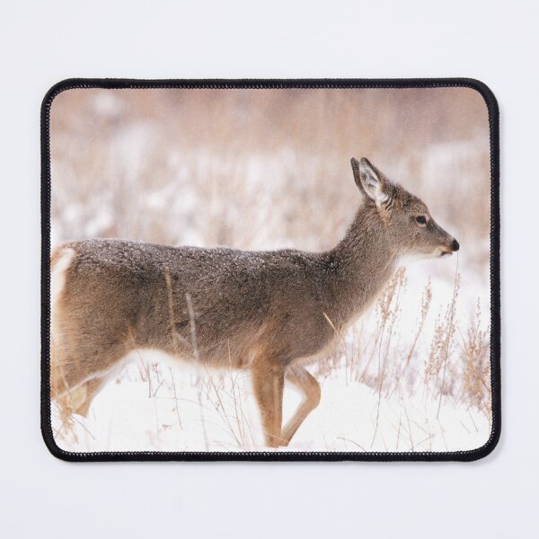 Item preview, Mule Deer Fawn in the Snow designed and sold by Alyce Taylor.