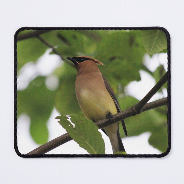 Item preview, Shaded designed and sold by Alyce Taylor.