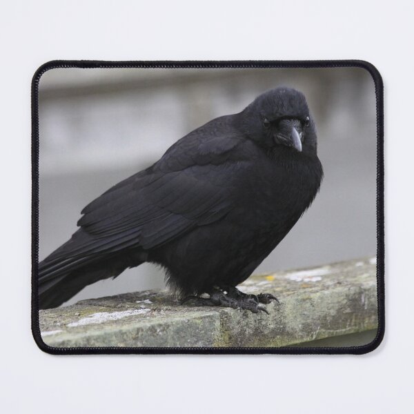 Item preview, Raven designed and sold by Alyce Taylor.