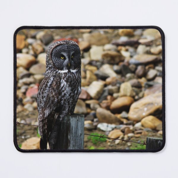 Item preview, Sooty Owl designed and sold by Alyce Taylor.