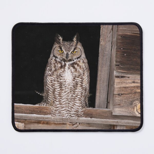 Item preview, Window Sitting designed and sold by Alyce Taylor.