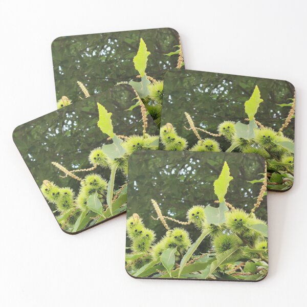 Item preview, Sweet Chestnut cases. designed and sold by Bumpulous.