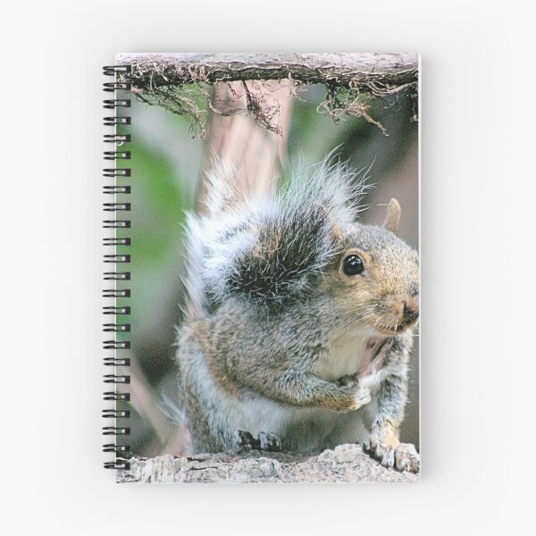Item preview, FURBALL designed and sold by BOLLA67.