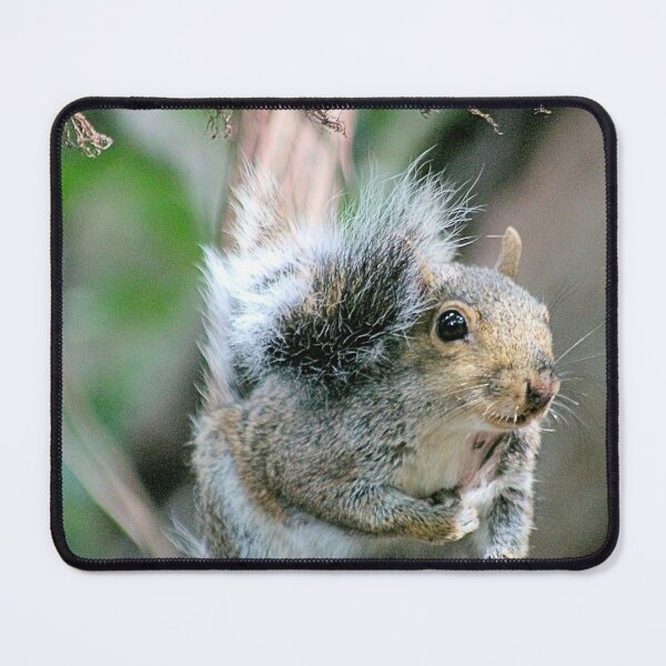 Item preview, FURBALL designed and sold by BOLLA67.
