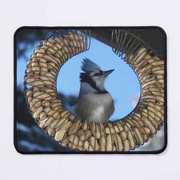 Item preview, Framed by Nuts designed and sold by Alyce Taylor.