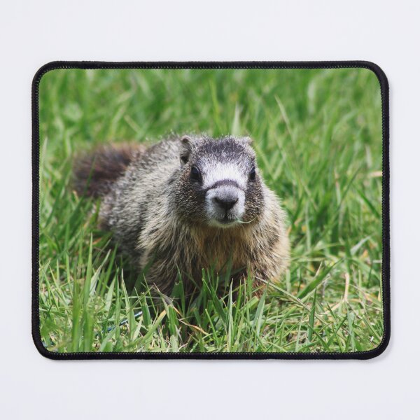 Item preview, The Grass is Always Greener designed and sold by Alyce Taylor.