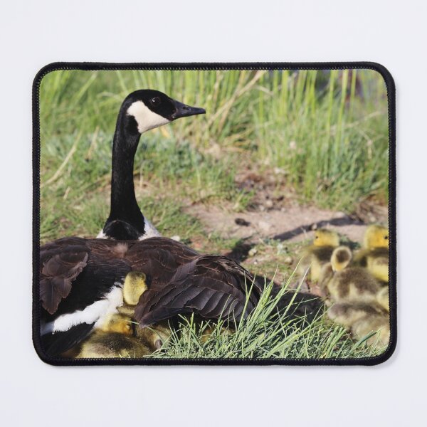 Item preview, Extended Family designed and sold by Alyce Taylor.