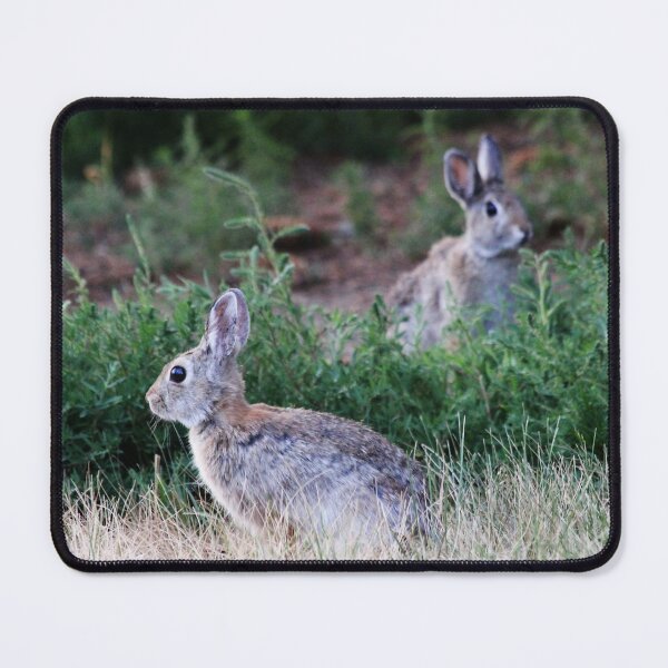 Item preview, Seeing Double designed and sold by Alyce Taylor.
