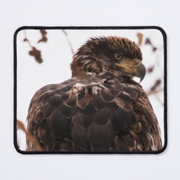 Item preview, Looking Over My Shoulder designed and sold by Alyce Taylor.