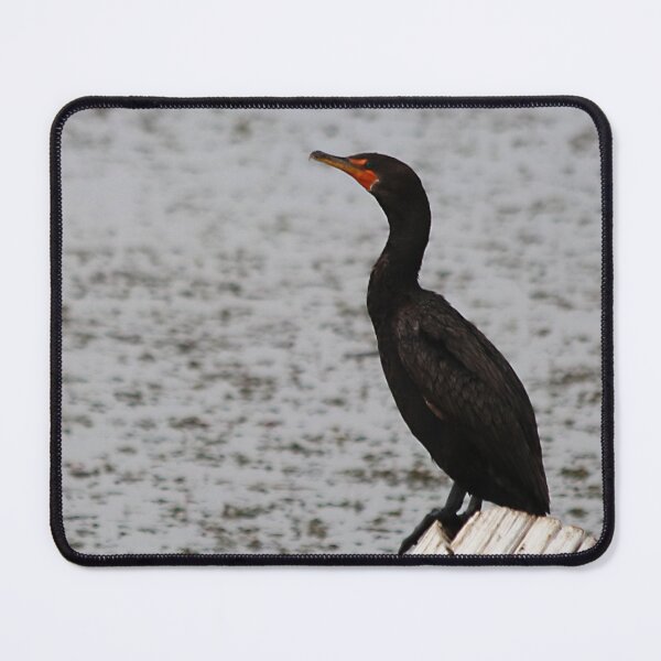 Item preview, Cormorant designed and sold by Alyce Taylor.