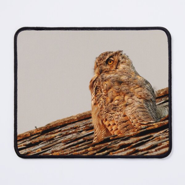 Item preview, Horned Owl at Sunset designed and sold by Alyce Taylor.