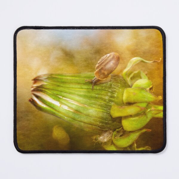 Item preview, Snail on the way ... designed and sold by Claudia-Evans.