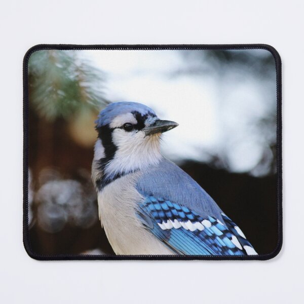 Item preview, The Daily Visitor designed and sold by Alyce Taylor.
