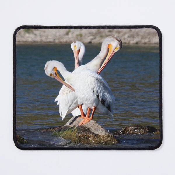 Item preview, The Three Headed Pelican designed and sold by Alyce Taylor.